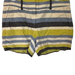 Ann Taylor Green and Blue Flat Front Shorts